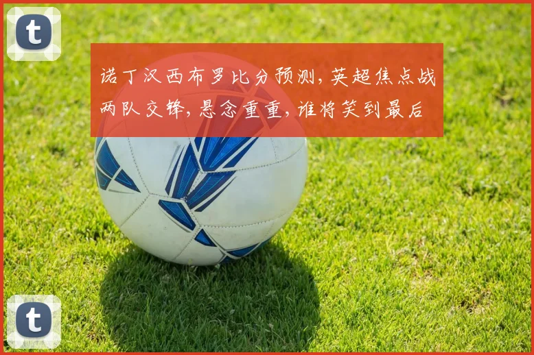 诺丁汉西布罗比分预测,英超焦点战两队交锋,悬念重重,谁将笑到最后